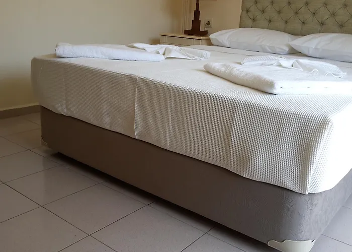 Sahin Palace 3* Icmeler