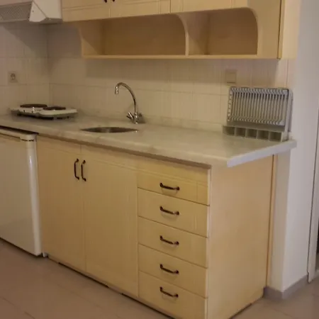 Sahin Palace Ичмелер